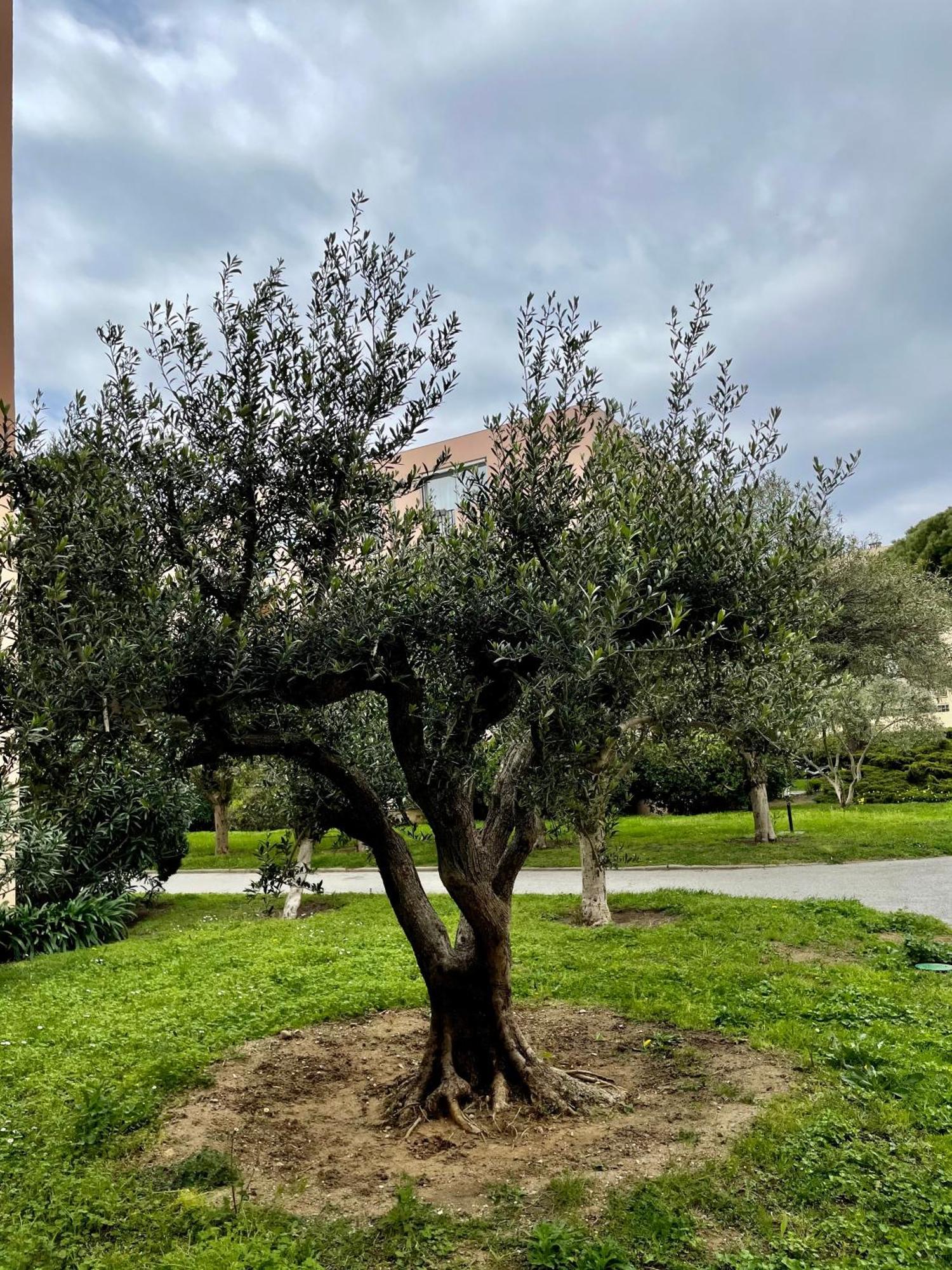 Appartement Saint Tropez Kültér fotó